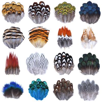 China Wholesale Natural Peacock Feather 50pcs/bag Peacock Pheasant Ostrich Feathers Feather for Craft Headdress Small Decor for sale