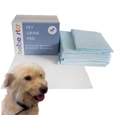 China Dog Training Pee Pad Puppy Pet Biodegradable Super Absorbent Viable Training Pee Pads Pad Disposable Pet Potty 5 Layer Potty Pad for sale