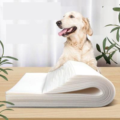 China Durable Quick Absorb Dog Puppy Pads Training Pet Pee Pad Disposable Training Pet Pad for sale