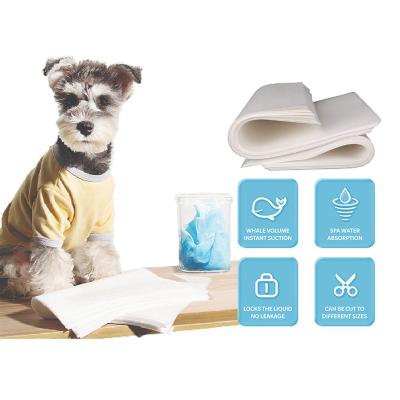 China Free Sample Disposable Pet Puppy Pads Leak Proof Viable Pads Quick Drying Pee Pads For Dogs Pet Training for sale