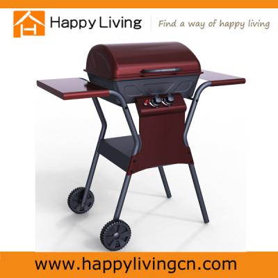 China Easily Compiled Professional 2 Burner Gas BBQ Grill Designs For Outdoor Cooking for sale