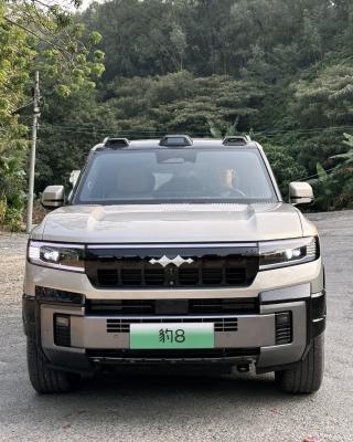 China BYD Fang Leopard 8 2025 Zhiyong Flagship Version Looks Up To U8 Yunnan P 5-door 7-seater Four-wheel Drive Off-road Vehicle for sale