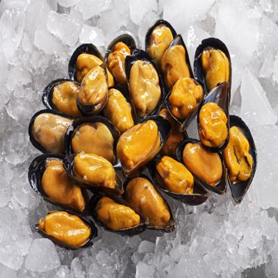 China FROZEN HIGH QUALITY HALF MOLD of cooked SHELL for sale