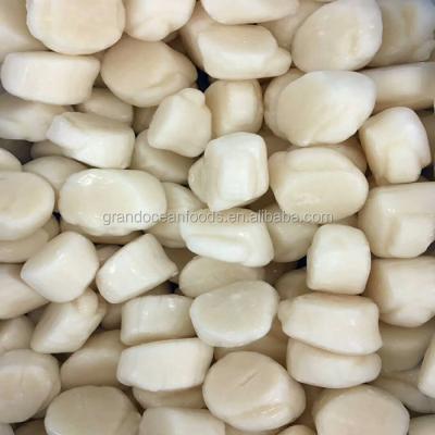 China IQF FROZEN Scallop with High Level Standard for sale