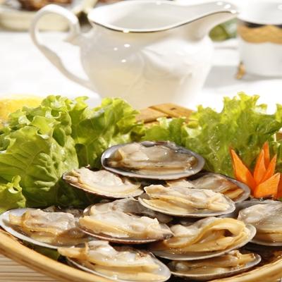 China Features High Quality Wholesale Cooked Season Clam Without Shell Made In Yellow Frozen Vietnam for sale