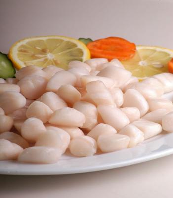 China FROZEN Frozen Scallop Meat for sale