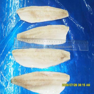 China Frozen Dried Herring Fillet FROZEN for sale