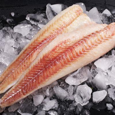 China FROZEN Alaska pollock fillet for sale