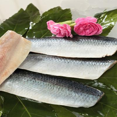 China Low Sugar Frozen Herring Seafood for sale