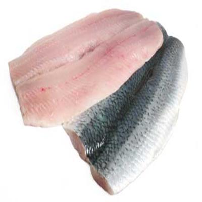 China IQF Low Sugar Frozen Herrings for sale