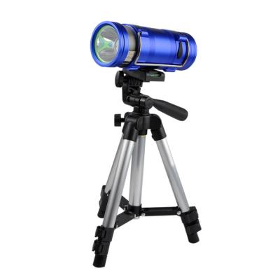 China Fish Attraction Dual Aluminum Alloy Led Rechargeable Fish Lights Blue Light Night Lights OEM Flashlights Fishing for sale