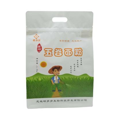 China Eco-Friendly White Moisture Proof Kraft Bag Whole Wheat Flour Bag Grains Flour Moisture Proof Packaging 8 Side Seal Packaging Zipper Bag for sale