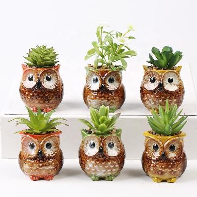 Chine Succulent Planter Pot Garden Decoration Owl Shape Garden Flower Desktop Cartoon 6Pcs/Set Indoor Pot Ceramic Creative Design Plant à vendre