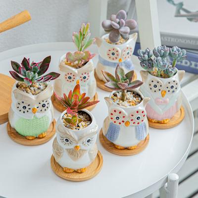 Chine Wholesale Flowerpot Modern Creative Personality Succulents Planter Pots Flower Cartoon Owl Ceramic Indoor Flower Pots à vendre