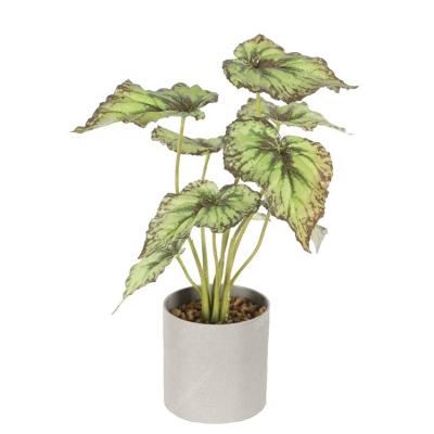 China Factory Directly Eco - Friendly Table Indoor Decoration Small Plastic Bonsai Trees for sale