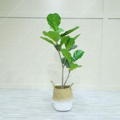 China 100cm Factory Direct Sale Realistic Small Fiddle Leaf Plant Artificial Ficus Lyrata Tree Centerpiece Table Decoration for sale