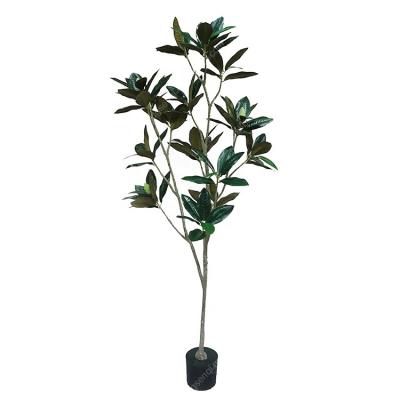 China Durable Dongguan Experienced Plant 180cm Real Touch Tropical Ficus Artificial Magnolia Tree for sale