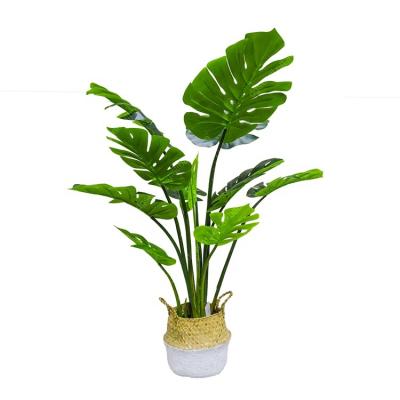 China Durable 110cm Hot Sale Artificial Variegated Monstera Tree for sale