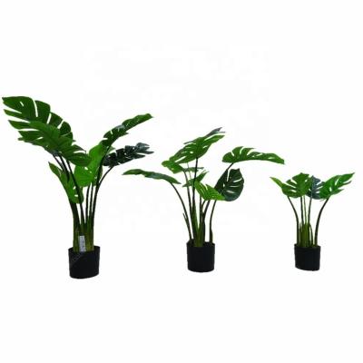 China Durable hot design taro philodendron/artificial plastic mostera/split leaf tree bonsai tree for sale