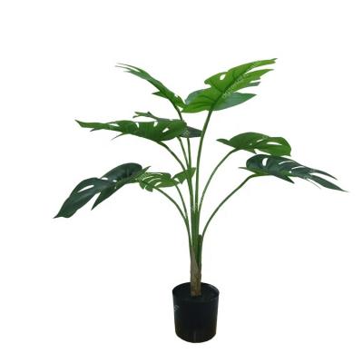 China Indoor Decorative Goods 60cm Mini Deliciosa Monstera Artificial Bonsai Trees for sale