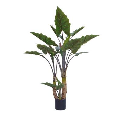 China High quality lifelike artificial alocasia bonsai trees in the pot for hotel decoration for sale