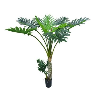 China Realistic Indoor Decor Philodendron Bonsai Tree Plant for sale