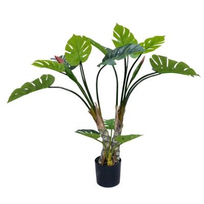 China Realistic Indoor Decor Monstera Bonsai Tree Plant for sale