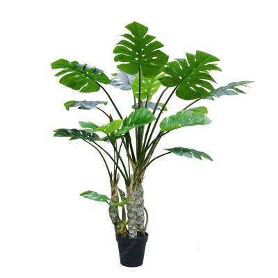 China Professional Manufacturer Indoor Realistic Plastic Bonsai Tree Plants for sale