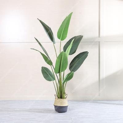 China 160cm Modern Style High Quality Durable Artificial Evergreen Banana Tree for sale