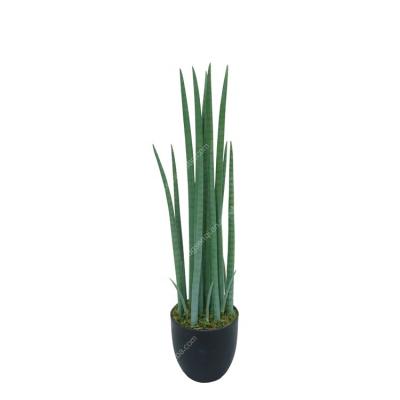 China Durable artificial cylindrica bonsai 70cm potted sansevieria succulent plant for shop decor for sale