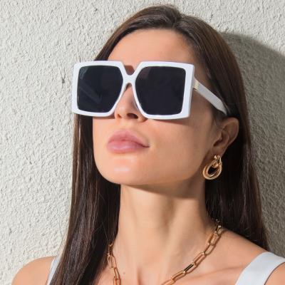 China Y-NOT Environmental Friendly Fashion Designer Famous Brands Luxury Oversized Sunglasses Fit Big Frame White Color Sunglasses for sale