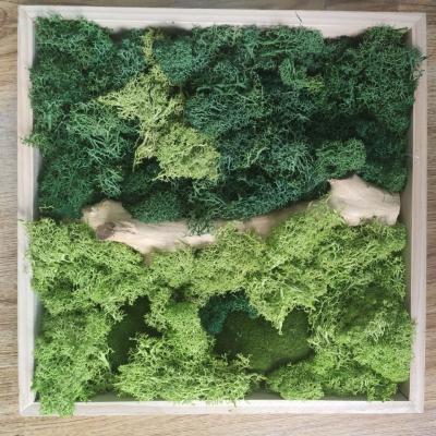 China Custom Design Wedding Home Decoration Preserved Moss Wall Art Natural Reindeer Moss Custom Design Moss Paintings for sale