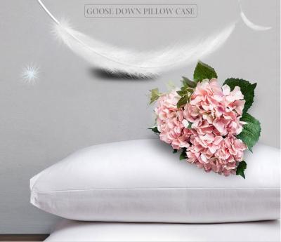 China Wholesale Cushion Duck Down Filling Pillow Cheap China Supply Anti-Apnea Pillow Inserts for sale