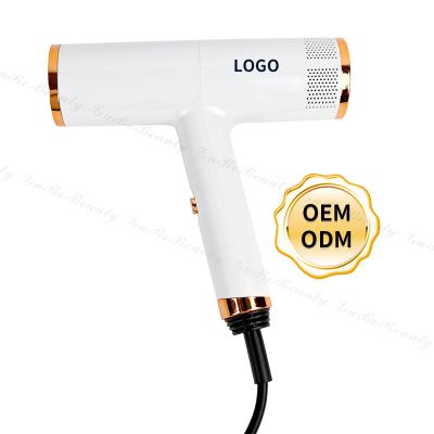 China Ionic Custom Super Quiet Blow Hair Dryer Salon Electric Hair Dryer Ionic Wind Blow Dryer For Homeuse for sale