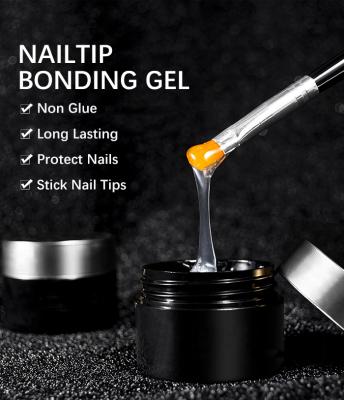 China Nail Art Beauty Salon Wholesale Nail Art Decoration Glue Gel Rhinestone 10ml Hard Nail Polish Decor Top Coat OEM for sale