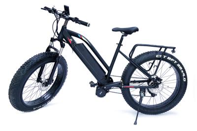 China High Speed  48v 1000w Bafangcentral motor  Mountain Electric Fat Bike with front  suspension fork and LCD color display for sale