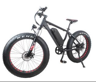 China Geared Electric Fat Bike 48v 750w With Sinewave System , High Speed 35-40km/h for sale