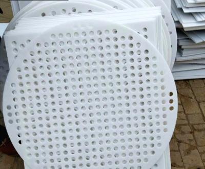 China Lightweight ; easy installation cheap circle perforated PE PP plastic plate / sheet / mesh for sale