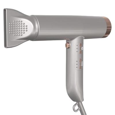 China Ionic + China Manufacturer Supply New Arrival Custom Brushless DC Motor Mini Fast High Speed ​​Reverse Hair Dryer for sale