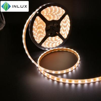 China High Brightness Warm White Underwater Decorative Lighting Wired LED Strip 3528 60leds 12V/24V IP68 Waterproof Light for sale