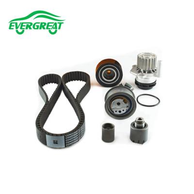 China WATER PUMP & BELT KIT FOR AUDI SEAT SKODA INA 530 0503 30 same as OEM for sale