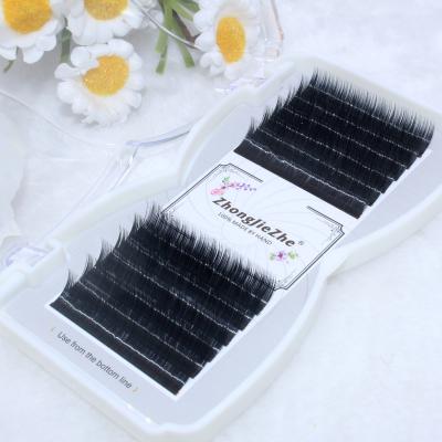 China Deep High Quality Your Own Label Person Lashes 0.12mm Volume Eyelash Extensions Curl B Length-12mm 12 Lines for sale