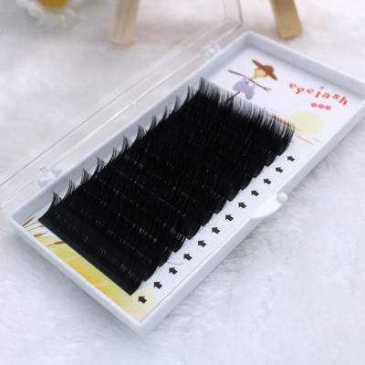 China No sign blue thickness .03 .05 .07 .10 .12 .15. 20. 25 DEEP BLACK length 6mm-20mm individual eyelash extension for sale