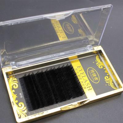 China Super Hot Chicken Toe Fashion New Charming L Individual Loop Eyelash Extension 0.05/0.07/0.10/0.15/0.20mm for sale