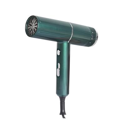 China 2021 Newest Salon Hair Blow Dryer Light Weight Travel Blow Dryer Pink Low Noise Professional Ionic Quick Dry Hair Dryer Green Red for sale