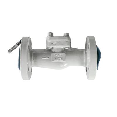 China Silent Swing Check Valve Professional Oxygen Check Valve 1 Inch for sale