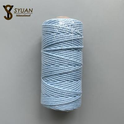 China Sustainable Hot Sale Colorful Polyester Woven Rope 100% Cotton Macrame Rope 3mm for sale