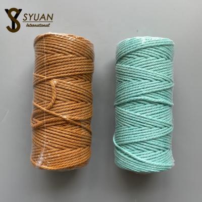 China Viable 3mm 350g 100m Crochet Polyester Bag Blanket Twine Handwork Twisted Cotton Macrame Bundling Ropes for sale