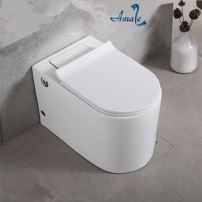 中国 Ceramic Stun New Design Sanitary Ware Ceramic Pulse One Piece Toilet Without Water Tank 販売のため