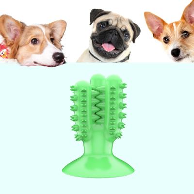 China PNB Free Samples Cactus Shape Environmental Protection Viable Indestructible Toys For Dogs Pet Toys for sale